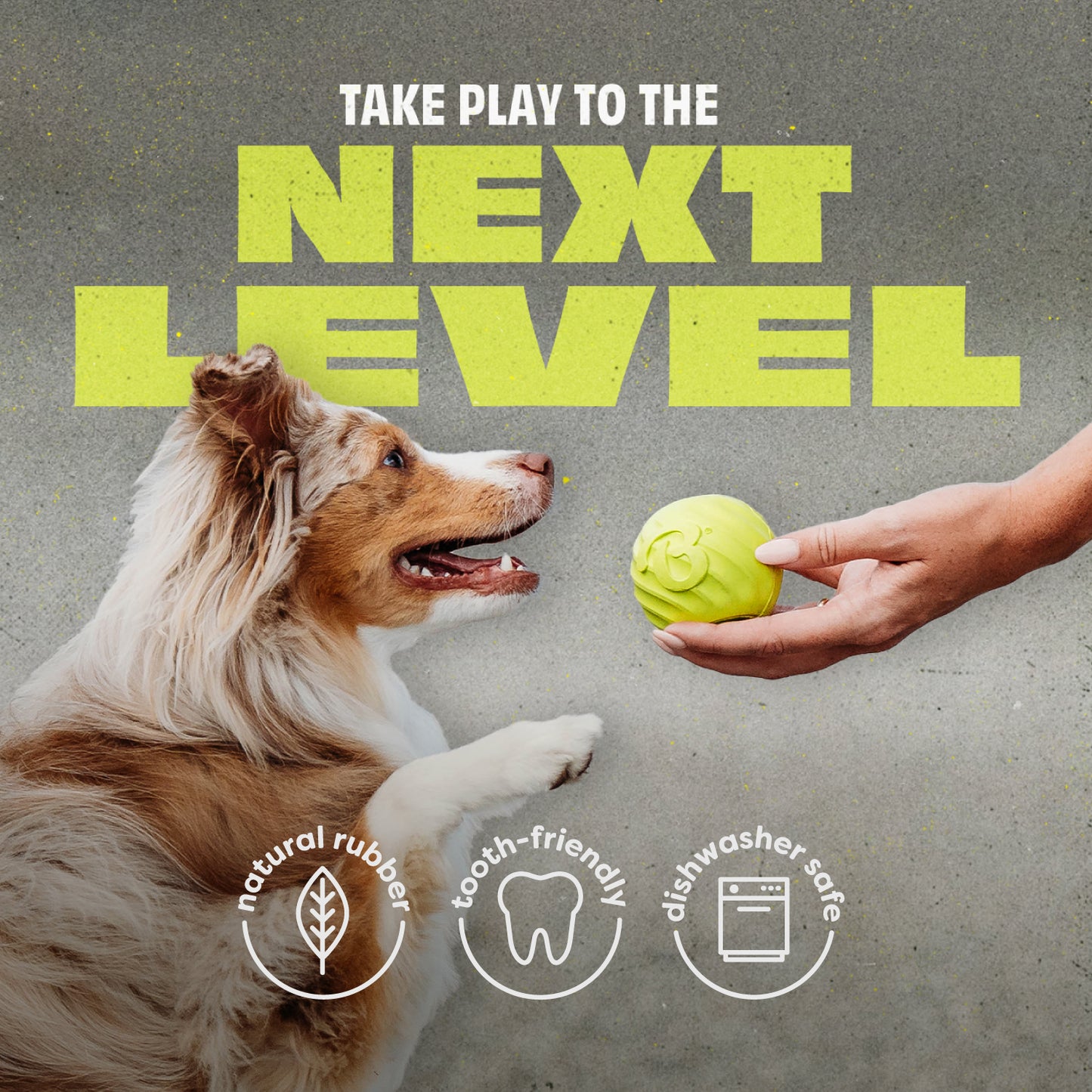 A dog eagerly eyes a person with a green ball. Make fetch extra fun with Benebone’s Chew & Fetch Duo—made of natural rubber, tooth-friendly, dishwasher safe, and perfect for playtime!.
