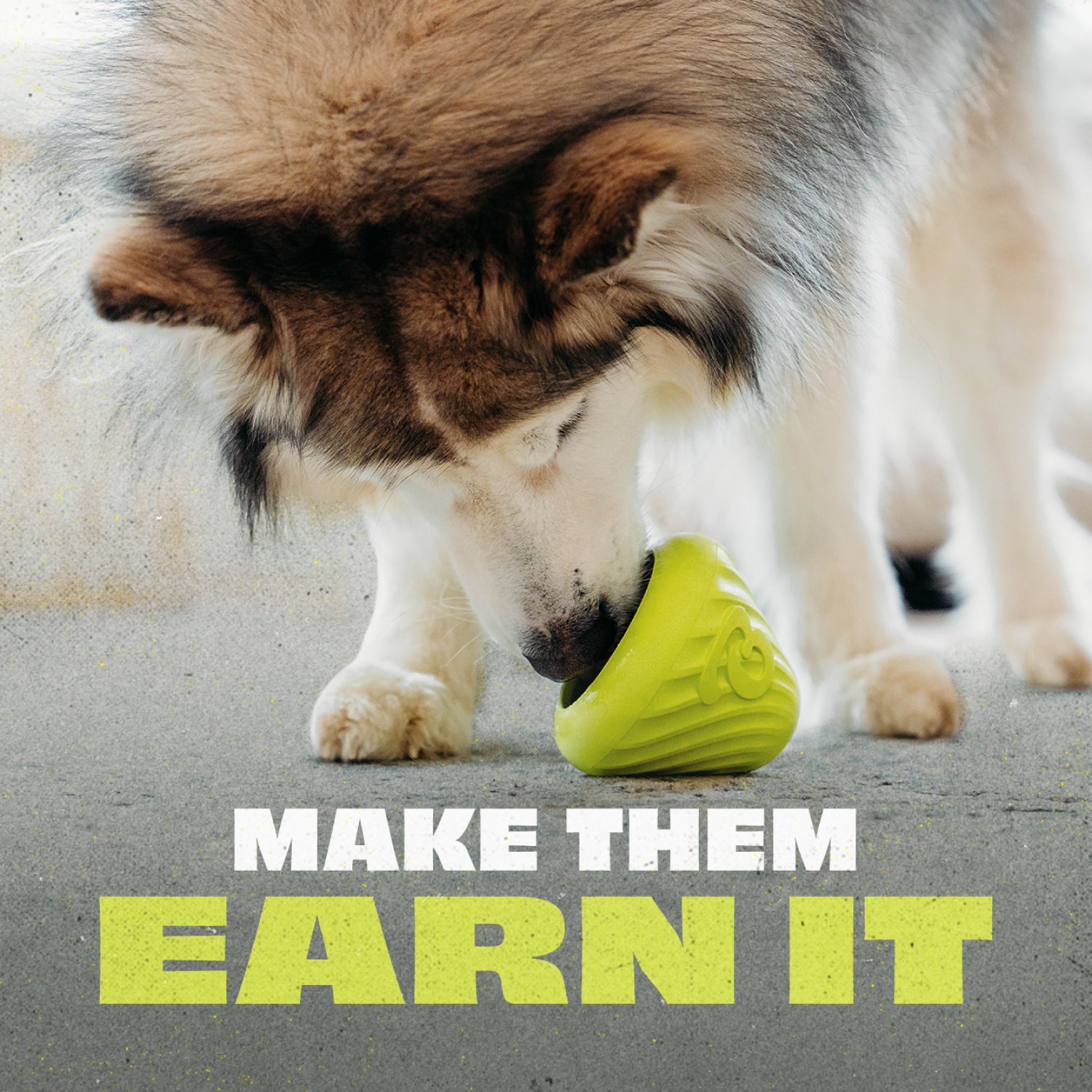 A large fluffy dog sniffs the green Benebone Chew & Treat Duo on the ground. Bold text below reads, MAKE THEM EARN IT.