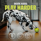 A Dalmatian dog plays with Benebone’s Chew & Challenge Duo (2-Pack) green ball toy on a kitchen floor. The text reads “WORK HARD PLAY HARDER.” Icons highlight natural rubber, tooth-friendly, and dishwasher-safe features.