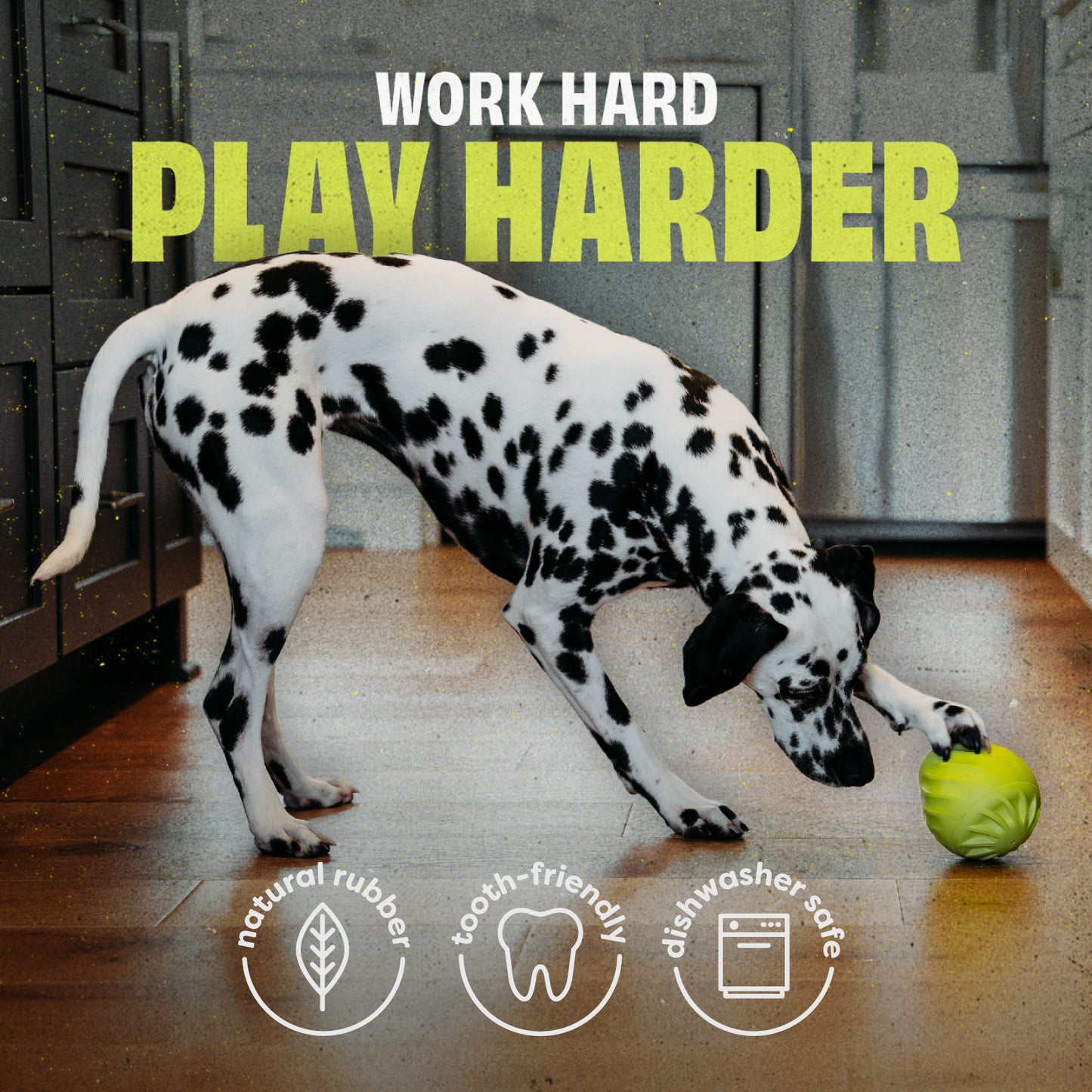 A Dalmatian enjoys the Benebone Classic Chew Collection + Pawbler on a wooden floor. Text: Work hard, play harder. Icons show it’s made with natural rubber, gentle on teeth, and dishwasher safe.