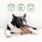 A black and white dog lies on the floor, chewing a Benebone Chew & Challenge Duo (2-Pack) toy. Above, icons and text read: long-lasting, durable, and cleans teeth—each shown with a matching graphic.