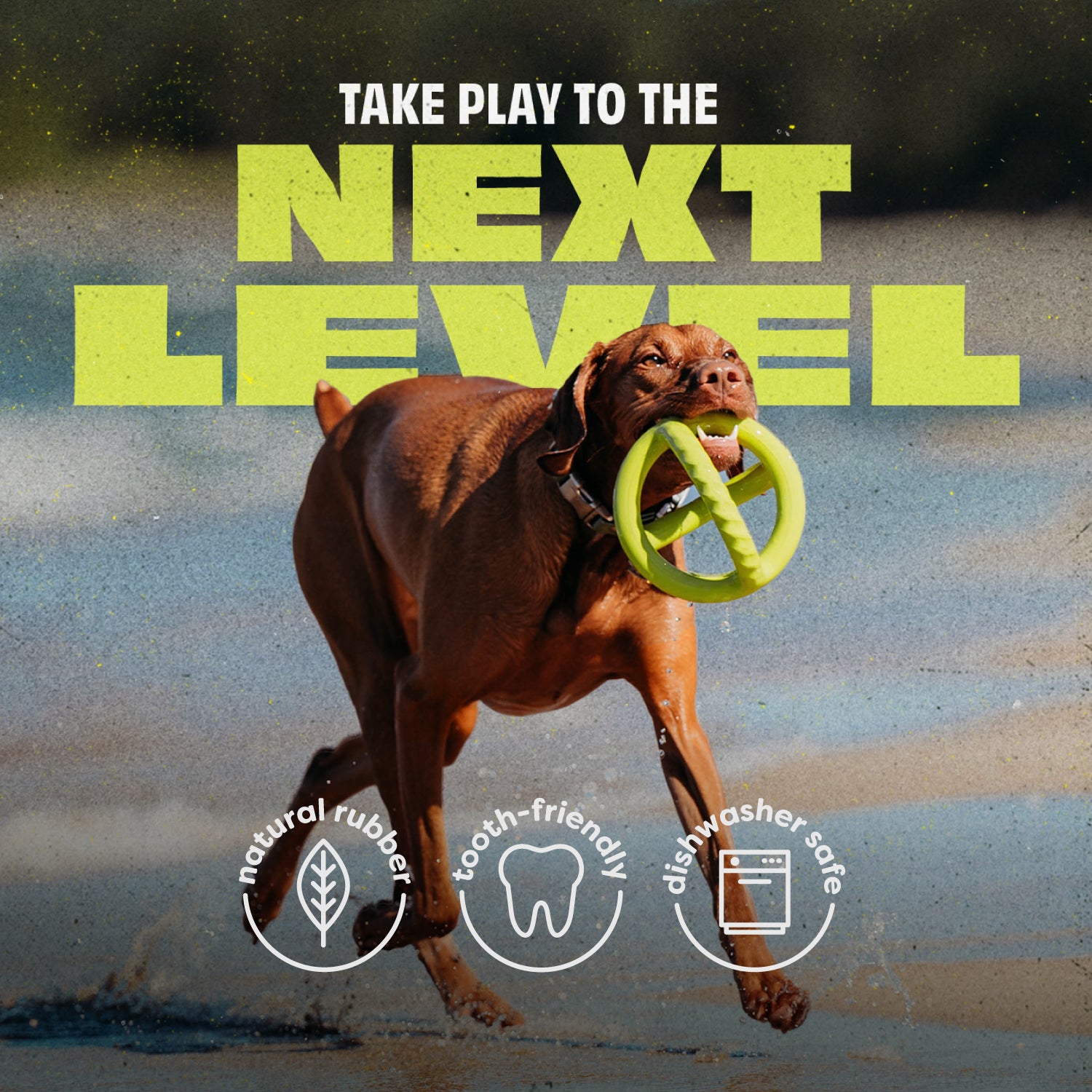 A brown dog runs on the beach with a Benebone Chew & Tug Duo (2-Pack) in its mouth. Text: Take play to the next level. Icons show features: durable, tooth-friendly, and dishwasher safe dog chew toy by Benebone.