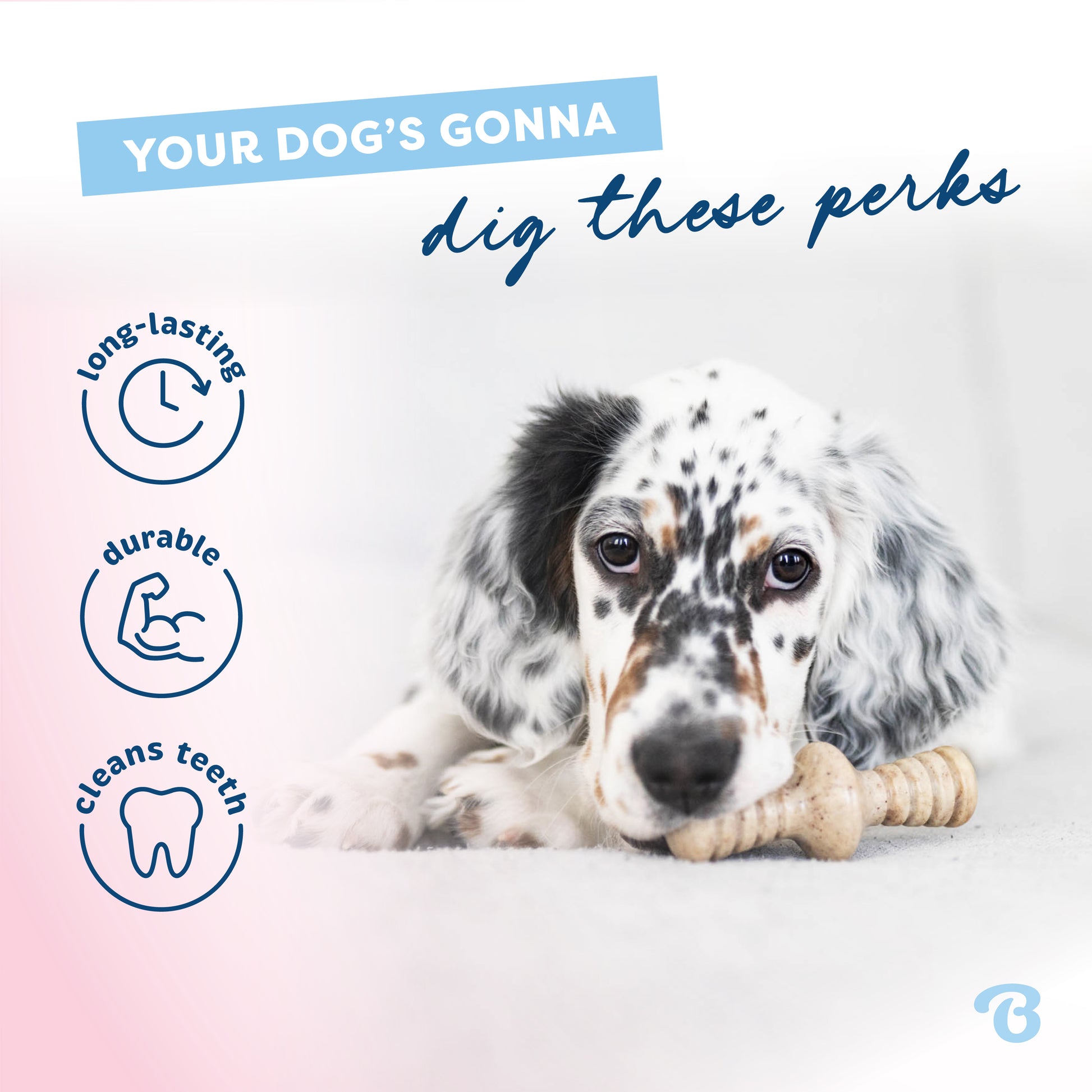 Your dog's gonna dig these perks. Long-lasting, durable, cleans teeth.  English setter puppy with head resting on a Benebone zaggler.