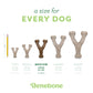 Five Benebone Wishbone Trio chew toys, shown in sizes tiny to giant for different dog weights, are displayed from left to right with a pencil for scale. These durable toys are made by Benebone.