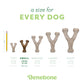 Five Benebone Wishbone Trio dog chew toys in sizes tiny, small, medium, large, and giant are shown next to a pencil for scale. Each durable toy lists its weight and dimensions. The Benebone logo appears at the bottom.