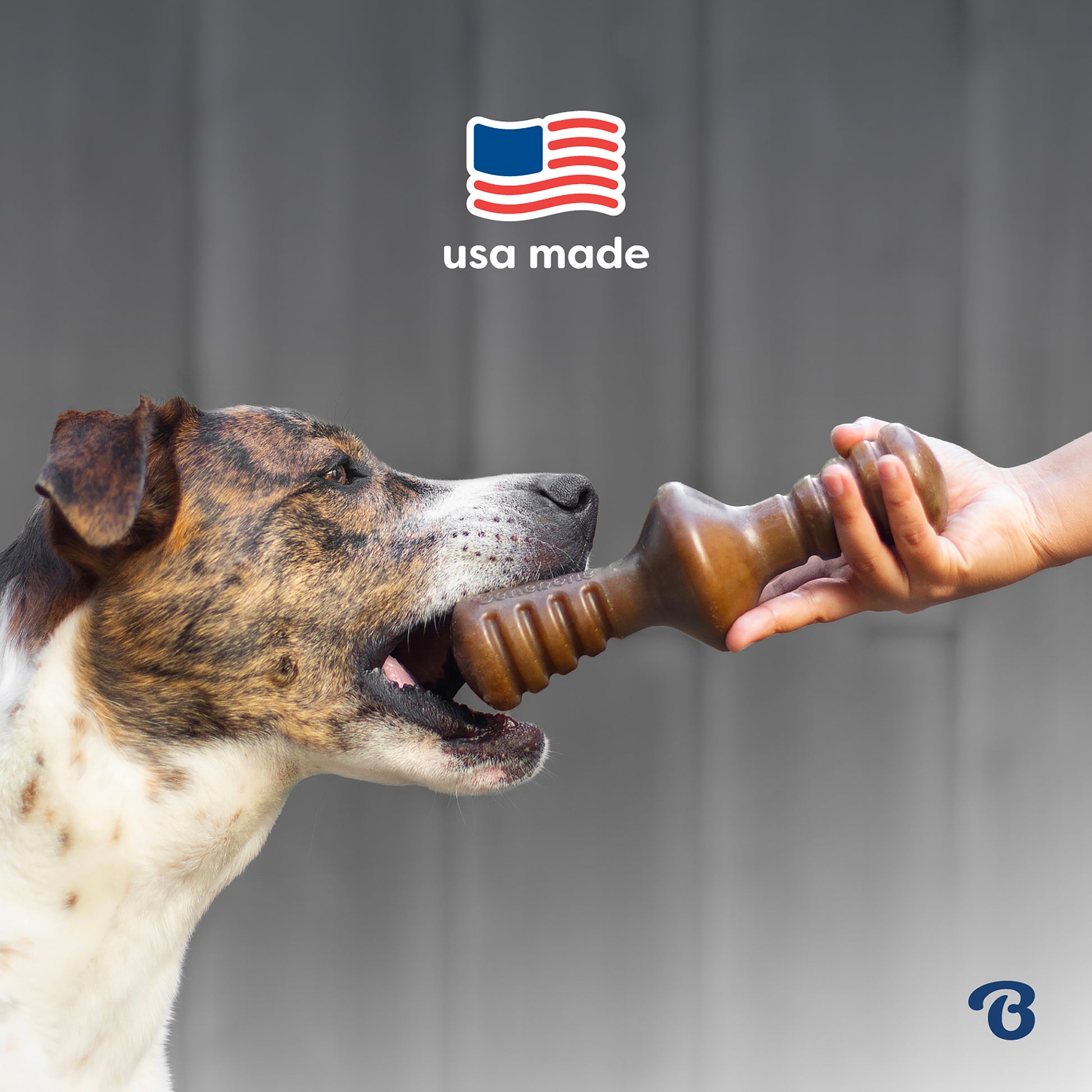 A dog bites a Benebone Limited Edition Chew Collection (4-Pack) held by a person’s hand. Above, a stylized U.S. flag and “USA made” appear. The blurred gray background highlights this durable dog chew toy.