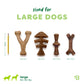 Four Benebone Limited Edition Venison Chew toys, each in a different shape and size, are displayed next to a 7.5-inch pencil for scale. Text reads: Sized for LARGE DOGS, large 60-90 lbs. Each durable dog chew toy is labeled with its dimensions.