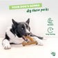 A black and white dog lies on the floor, chewing on a large Benebone Limited Edition Venison Chew from the 4-Pack Collection. Text reads, “Your dog’s gonna dig these perks,” with icons highlighting durable and long-lasting benefits.