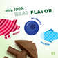 Illustration with a pig (Bacon), blueberry, and fish (Salmon), plus a dog treat and text: only 100% real flavor. Perfect for fans of durable dog toys or the Benebone Limited Edition Chew Collection (4-Pack).