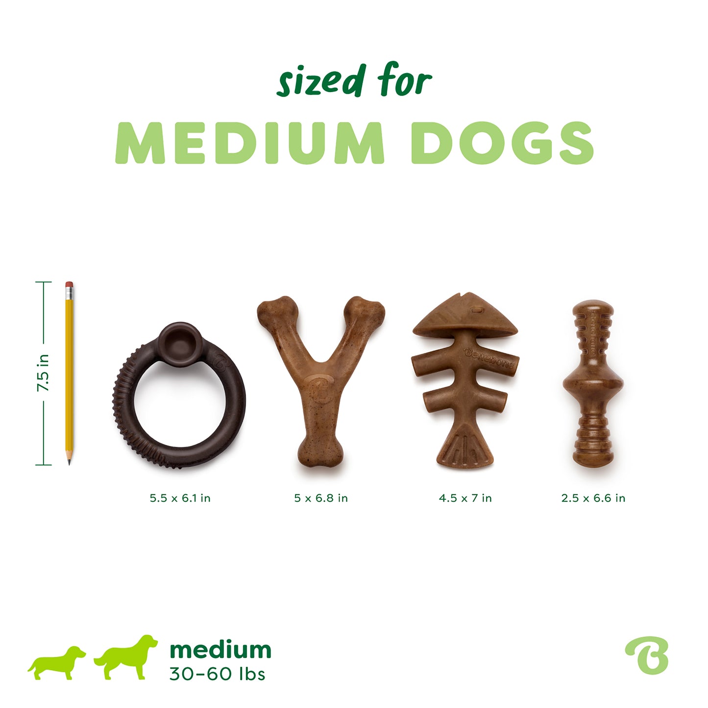 The Benebone Limited Edition Chew Collection (4-Pack) is shown next to a pencil for scale. Each durable chew toy varies in shape and size, features labeled dimensions, and suits medium dogs weighing 30-60 lbs.