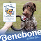 A brown dog bites a circular toy from Benebone’s Limited Edition Chew Collection (4-Pack), held by a person. Nearby, a sign with a cartoon dog reads: “Head out the window happy. No wags? We’ll make it right.” Text: Benebone—its CHEW love.