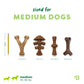 A pencil and four brown, durable Benebone Limited Edition Venison Chew Collection (4-Pack) dog chew toys of various shapes and sizes are lined up on a white background. Text reads “sized for MEDIUM DOGS, 30-60 lbs.” Measurements for each item are shown below each chew, making this the perfect limited edition dog toy bundle for your pup.