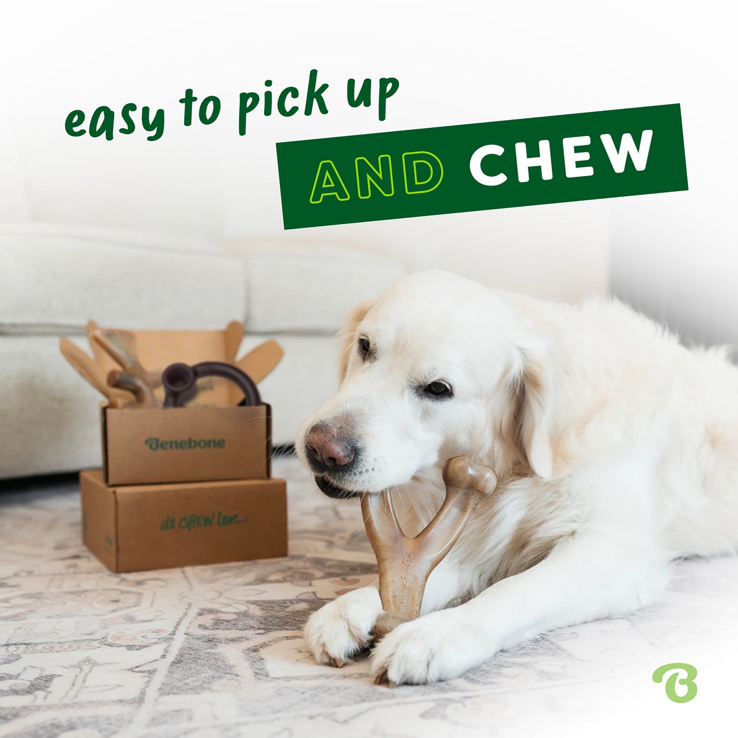 A white dog chews a toy from the Benebone Limited Edition Blueberry Chew Collection (4-Pack) on a rug. Behind it are two brown Benebone boxes with more durable dog toys. Text reads: easy to pick up AND CHEW.