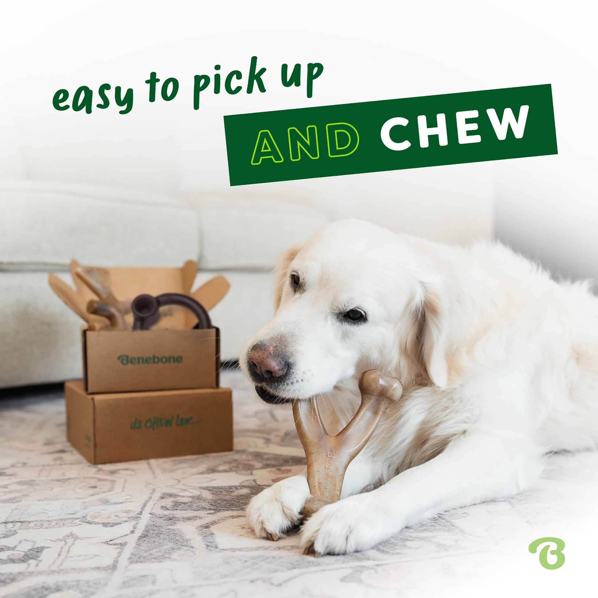 A white dog chews a toy from the Benebone Limited Edition Blueberry Chew Collection (4-Pack) on a rug. Behind it are two brown Benebone boxes with more durable dog toys. Text reads: easy to pick up AND CHEW.