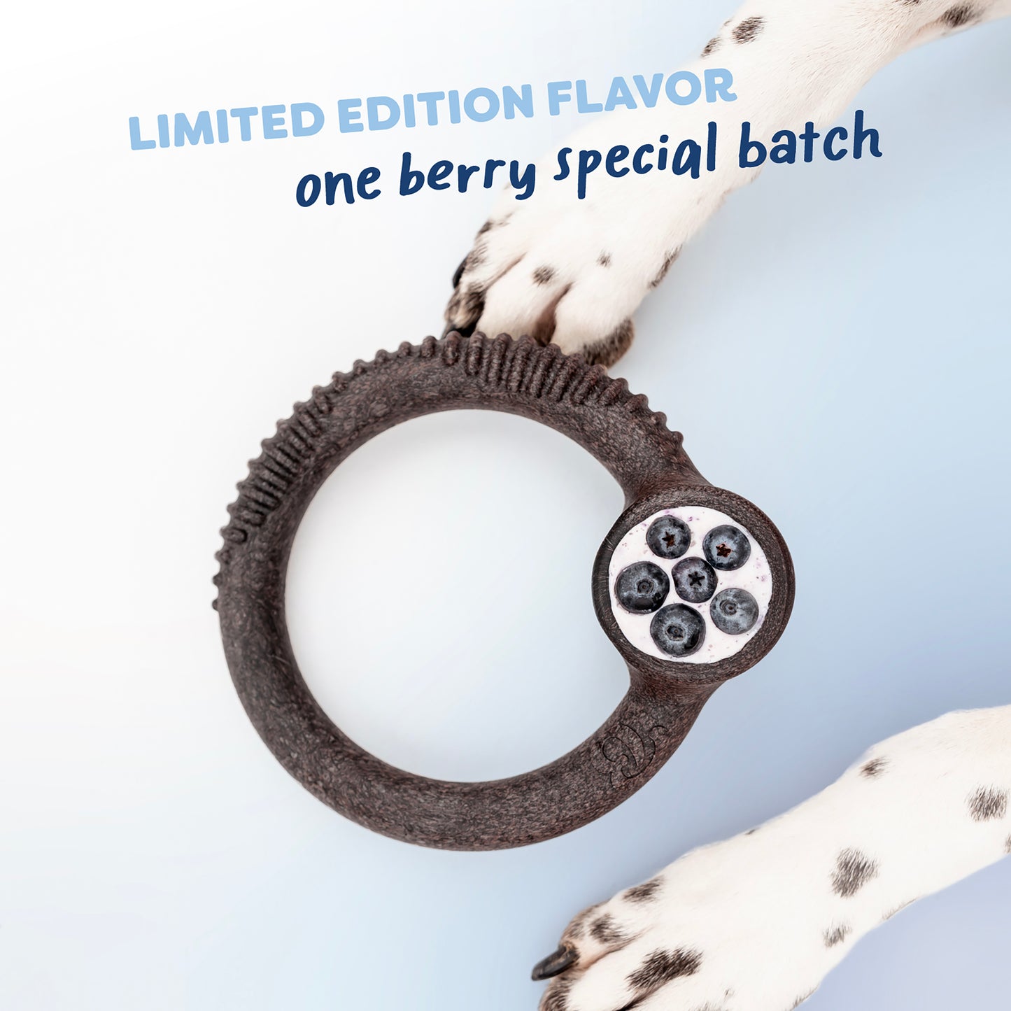 A dark ring-shaped Benebone chew toy from the Limited Edition Chew Collection (4-Pack) with blueberries and cream design rests on a white surface near two spotted dog paws. Text above says: LIMITED EDITION FLAVOR one berry special batch.