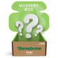 A Benebone Mystery Box for dogs under 90 lbs sits open, revealing "MYSTERY BOX," dog toys, and large question marks on green inner flaps. A small USA flag icon on the front hints at the durable dog toys inside.