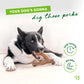 A black and white dog chews a Benebone Mystery Box toy. The text says, "Your dog’s gonna dig these perks." Icons show the Benebone as a durable, long-lasting dog toy. The image features a white background with green accents.