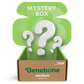 A medium Benebone Mystery Box (for dogs under 60 lbs) in green and brown features large white question marks, "MYSTERY BOX" on the lid, durable dog toys inside, and a small American flag icon to show it's made in the USA.