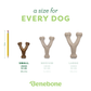 Three Benebone Mystery Box dog chew toys in small (for dogs under 30 lbs), medium (under 60 lbs), and large (under 90 lbs) are shown next to a 7.5-inch pencil for scale, highlighting their durability and size options.