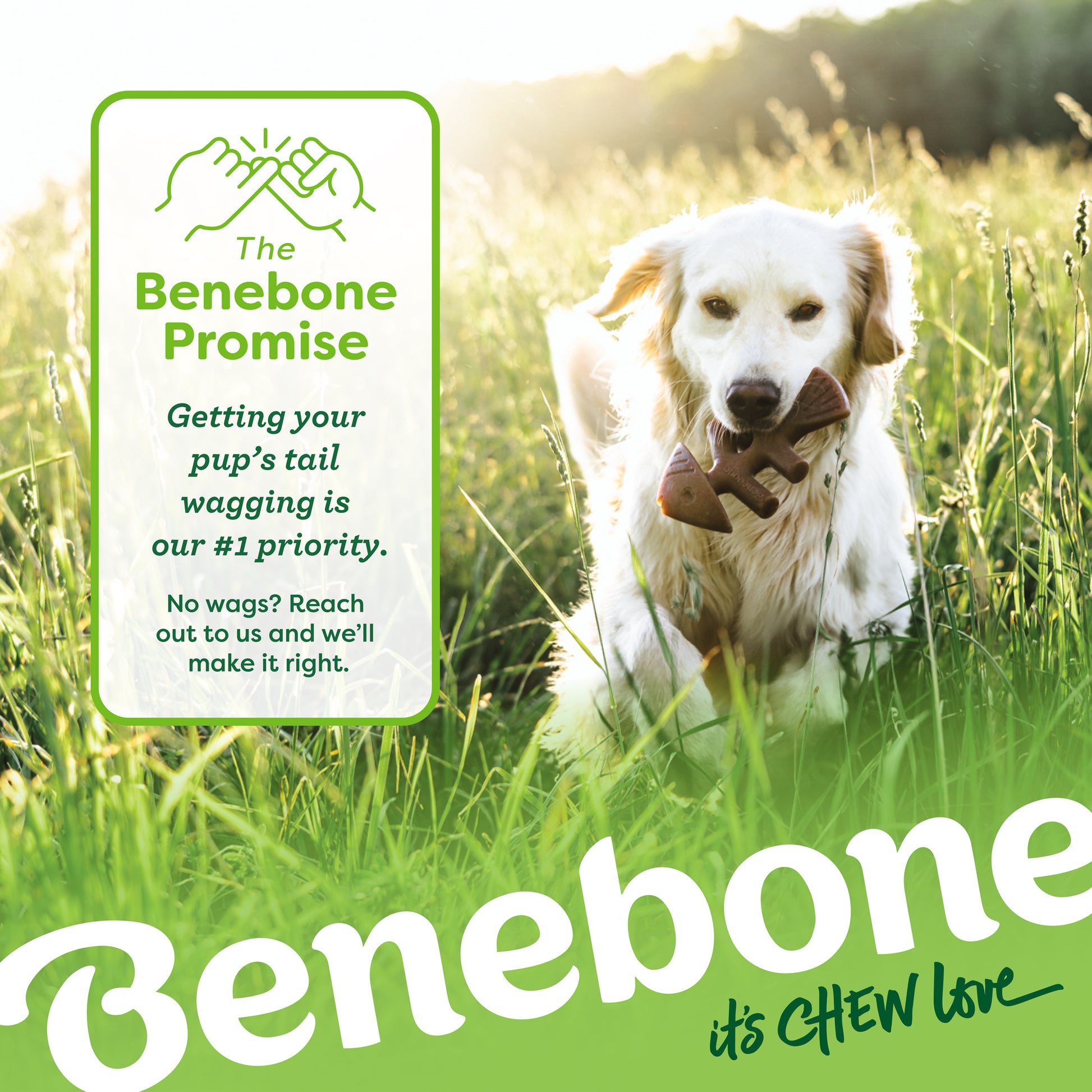 A golden retriever sits in tall grass with a Benebone toy in its mouth. The Benebone Promise: Whether it’s our tough toys or the Mystery Box, making your pup happy is our goal—no wags? We’ll make it right.