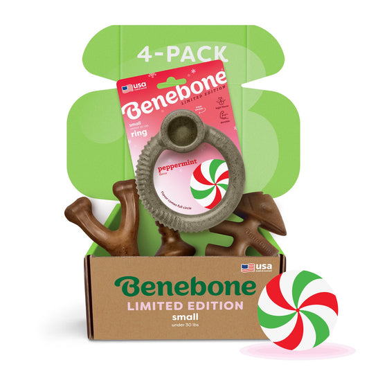 An open Benebone Limited Edition Peppermint Chew Collection (4-Pack) reveals durable dog chew toys for small dogs, including a peppermint-themed ring and two bone-shaped chews in festive green, brown, and red packaging.