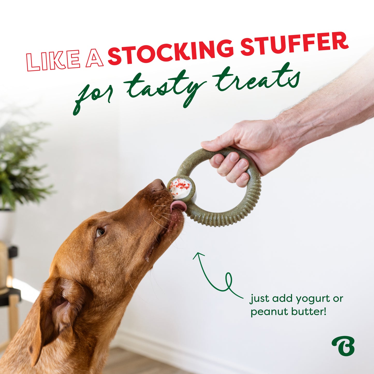 A brown dog licks a green textured ring toy from Benebone’s Limited Edition Chew Collection (50% off), held by a person. Text says, “Like a stocking stuffer for tasty treats,” with tips for adding yogurt or peanut butter. Bright minimal background.