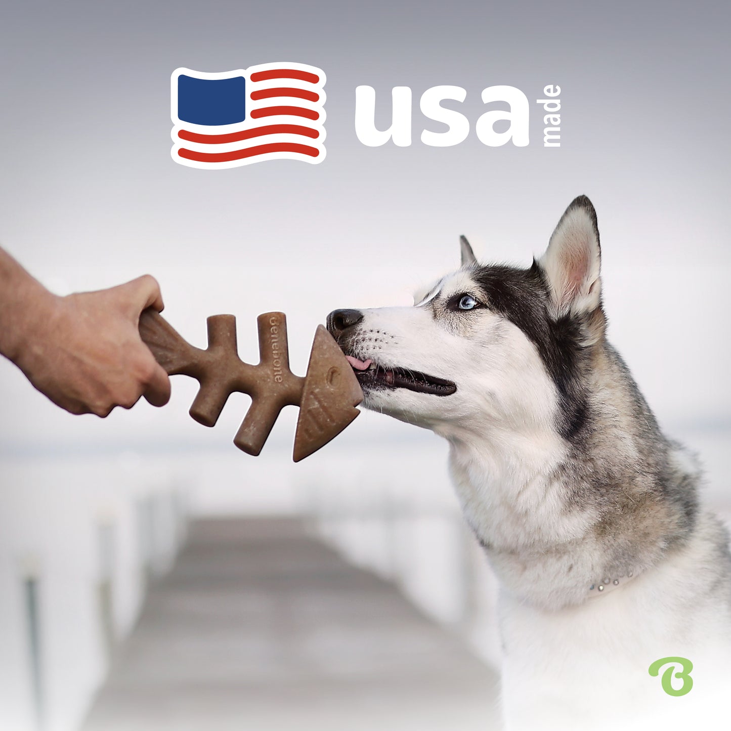 A husky sniffs a brown fish-shaped Benebone chew toy held by a person. "USA made" with a stylized flag appears above, and a green B logo is in the corner. Product: Benebone Limited Edition Chew Collection (50% off).