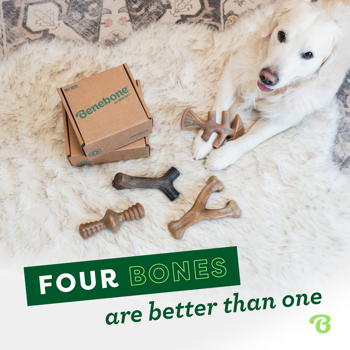 A white dog lies on a fluffy rug with Benebone’s Limited Edition Pumpkin Spice Chew Collection (4-Pack) in front of it and two boxes nearby. Text: Four bones are better than one—treat your pup to our seasonal, durable chews!.