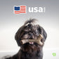 A small black dog with a topknot holds a Benebone Limited Edition Pumpkin Spice Chew from the 4-Pack Collection. Above is a stylized American flag, “usa made,” and a green logo appears in the bottom right corner.