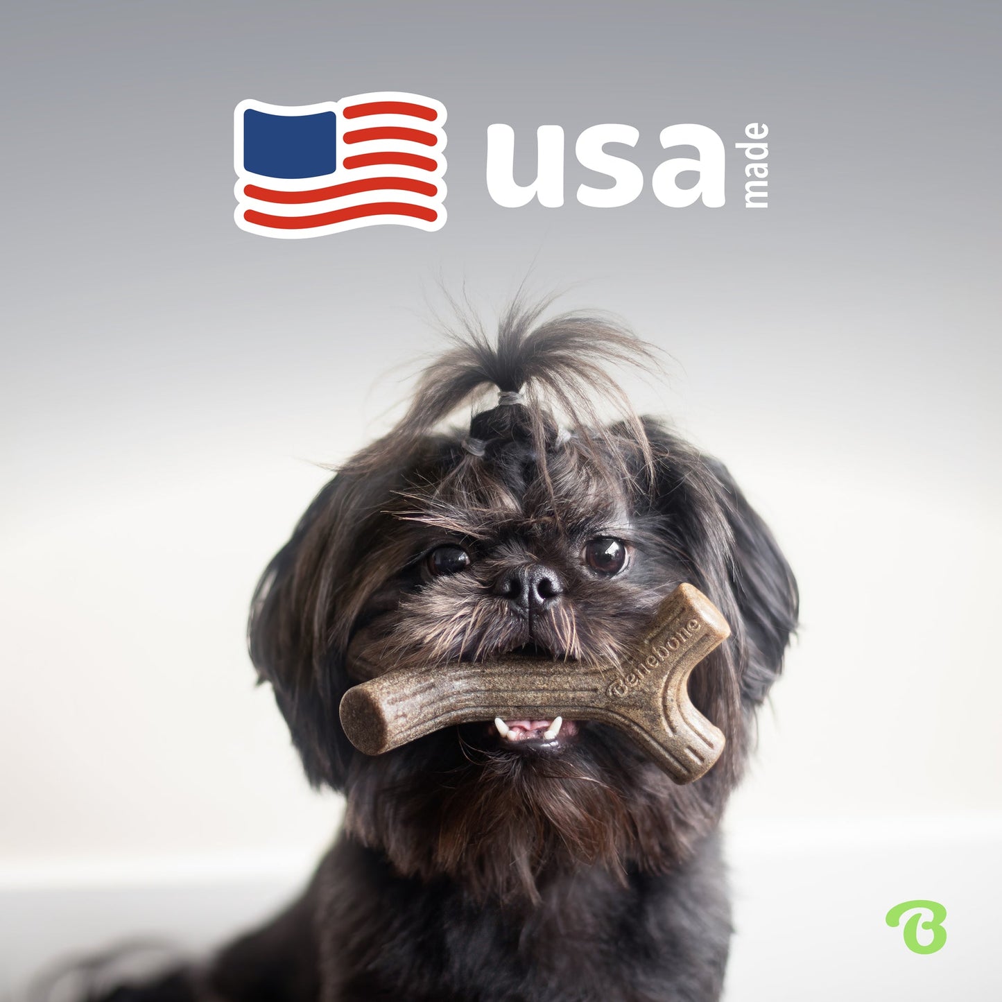 A small black dog with a topknot holds a bone-shaped toy from Benebone's Limited Edition Pumpkin Spice Chew Collection (4-Pack). Above, a stylized American flag and “USA made” appear; a green logo is in the bottom right corner.