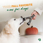A person gives a golden retriever a toy from the Benebone Limited Edition Pumpkin Spice Chew Collection (4-Pack) indoors. Behind them is a couch with a pumpkin-shaped pillow and the words, Your fall favorite now for dogs.