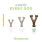 Seven Benebone Complete Chew Collection dog chews are shown next to a pencil for scale, each labeled by size and recommended dog weight. The Benebone logo is displayed at the bottom.