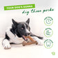 A black and white dog chews a bone from the Benebone Complete Chew Collection. Text reads Your dogs gonna dig these perks with icons for long-lasting, durable, and cleans teeth. A green Benebone logo is in the bottom right corner.