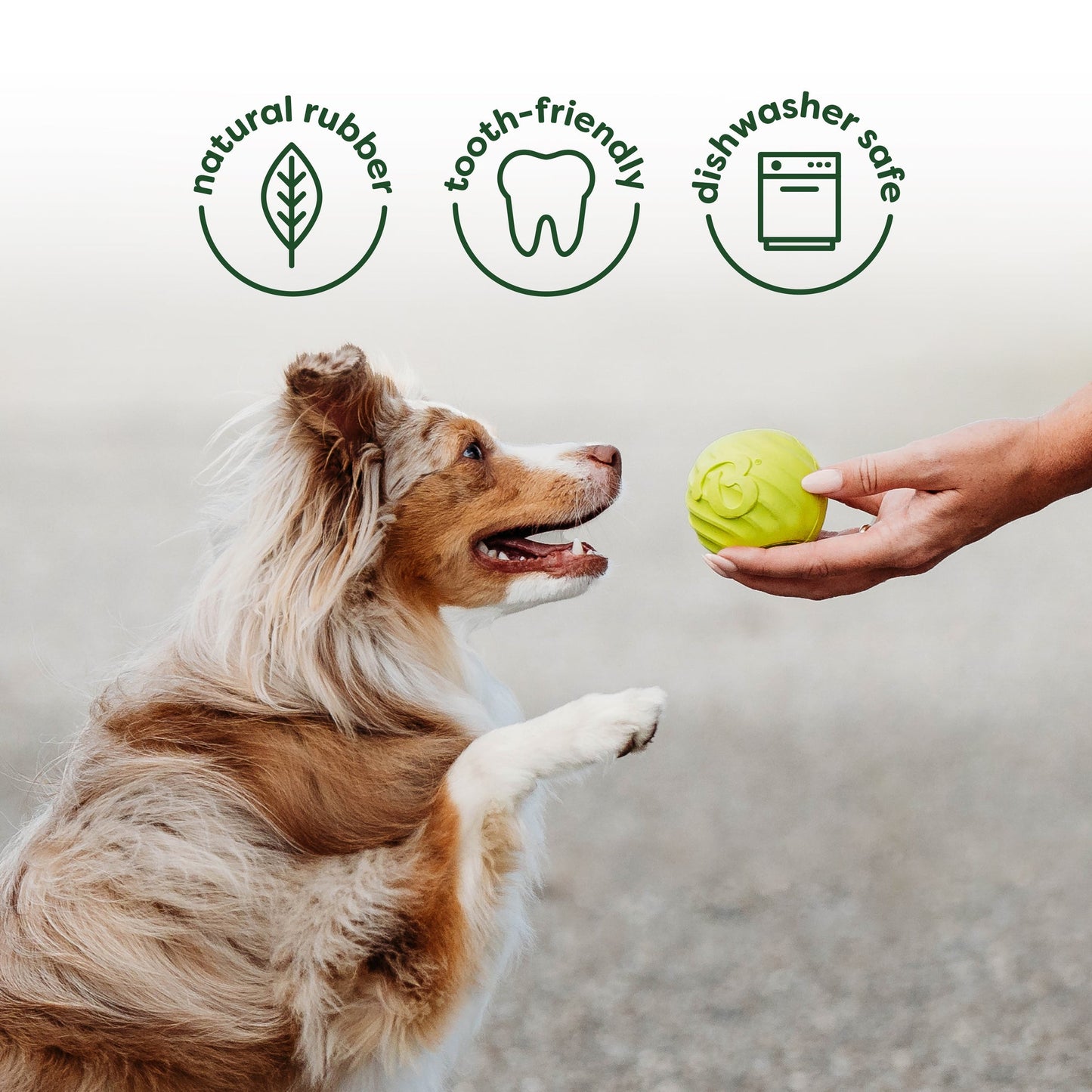 The Benebone Bounce Ball is Made with Natural Rubber, Tooth-Friendly, and Dishwasher Safe.