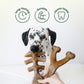The Benebone Wishbone & Fishbone are Long-Lasting, Durable, and Cleans Teeth.