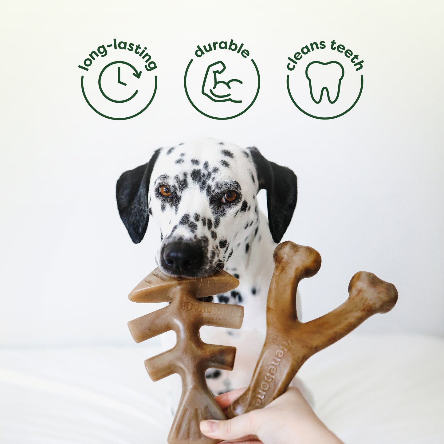 The Benebone Wishbone & Fishbone are Long-Lasting, Durable, and Cleans Teeth.
