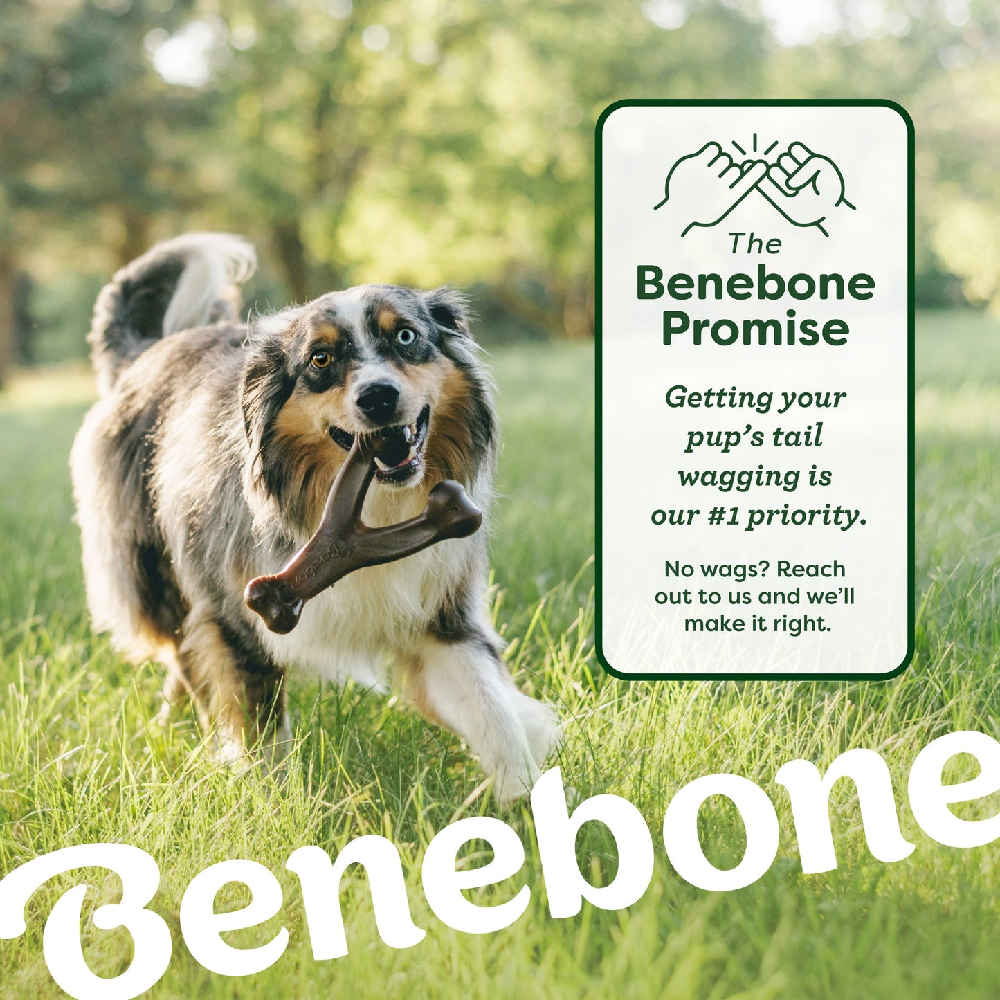 The Benebone Promise: Getting Your Pup's Tail Wagging is Our #1 Priority. No wags? Reach out to us and we'll make it right.