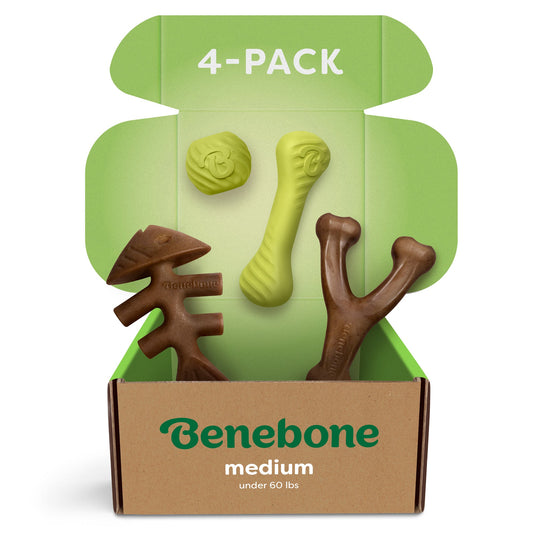 Rubber & Nylon Medium 4-Pack Box for Dogs Under 60 Pounds (Wishbone, Fishbone, Ball and Bone)