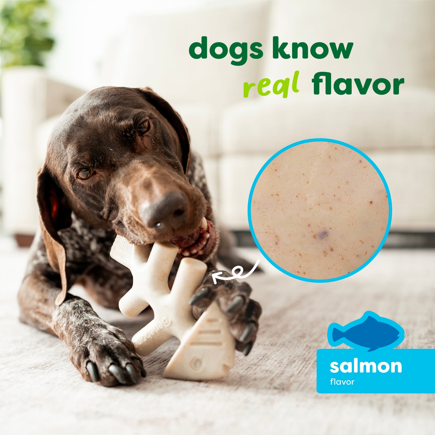 A brown and white dog chews on a durable Benebone Green Fishbone chew toy indoors. Text reads dogs know real flavor. A circular close-up highlights the toy’s texture, and a blue fish icon with salmon flavor appears in the corner.