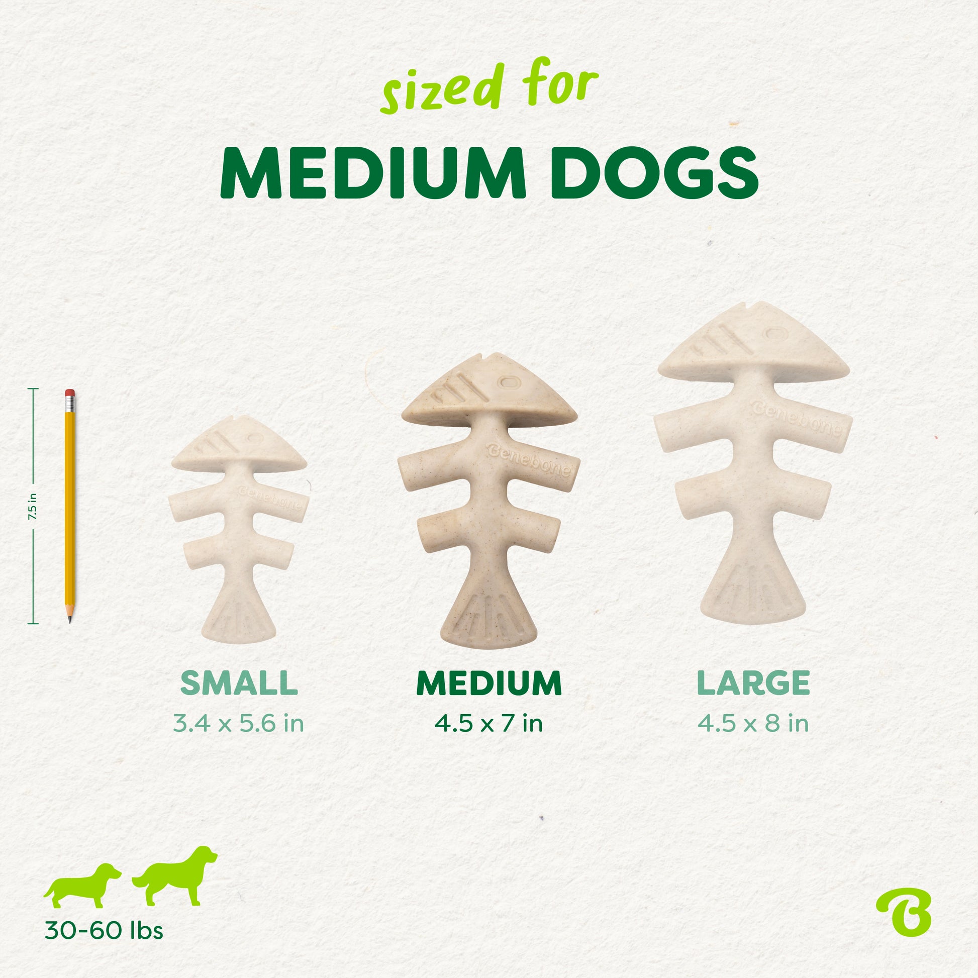 Three Benebone Green Fishbone dog chews are shown in small, medium, and large sizes beside a pencil for scale. Text notes they suit medium dogs (30–60 lbs), with dimensions for each plant-based chew listed.
