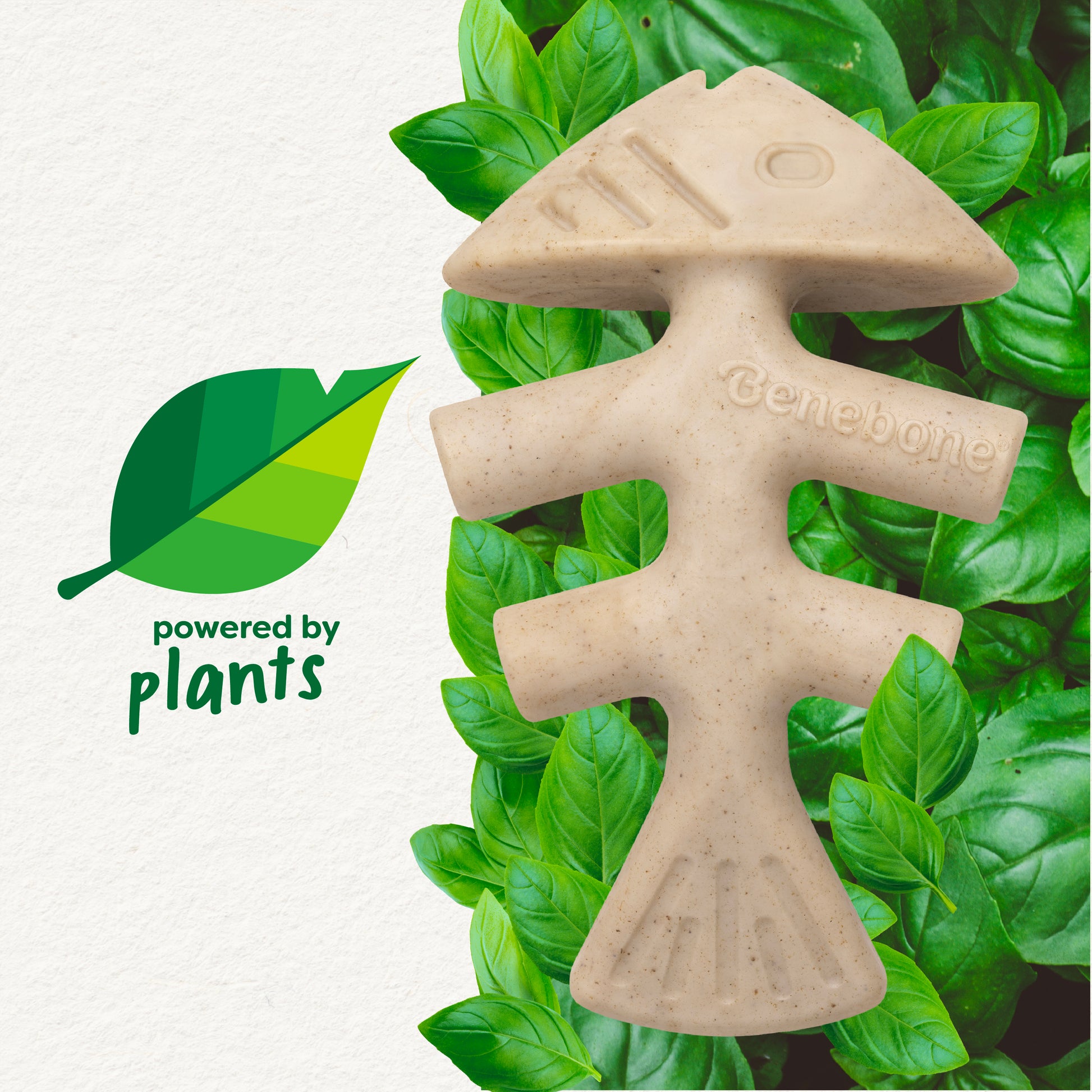 A tan, fish-shaped dog chew toy called Green Fishbone by Benebone lies on green leaves. To the left is a leaf graphic with "powered by plants" in green text, highlighting this plant-based dog chew.