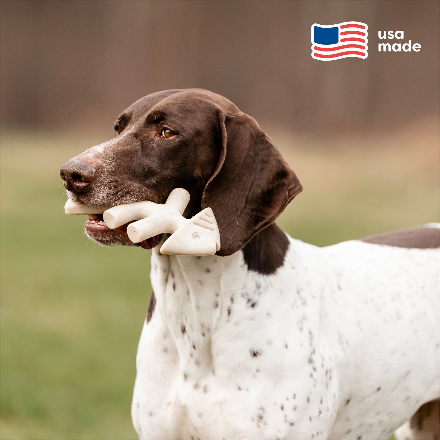A brown and white dog stands outdoors holding two Benebone Green Fishbone toys in its mouth. In the top right corner, a stylized American flag and the words "USA Made" are visible.