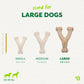 Three Benebone Green Wishbone chews in small, medium, and large sizes are shown beside a pencil for scale. The large Green Wishbone is best suited for dogs weighing 60–90 lbs.