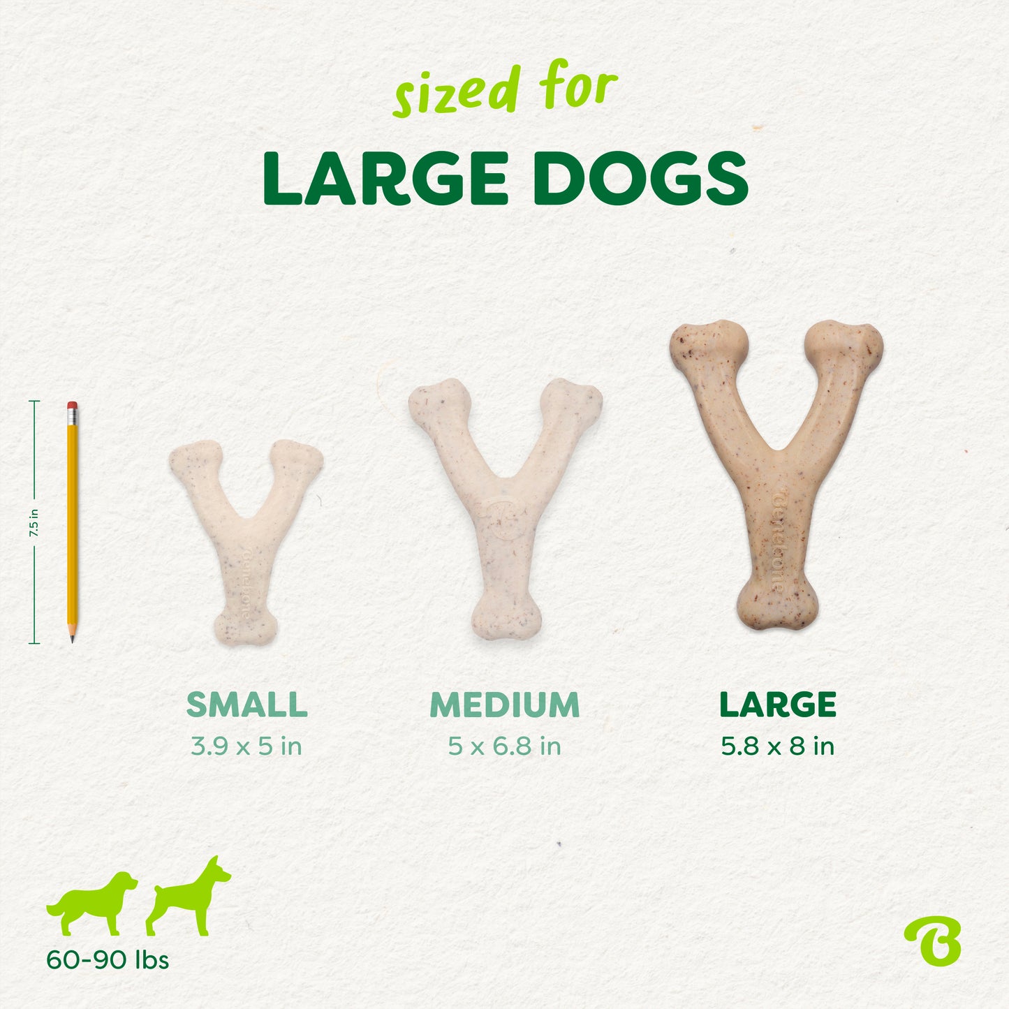 Three Benebone Green Wishbone chews in small, medium, and large sizes are shown beside a pencil for scale. The large Green Wishbone is best suited for dogs weighing 60–90 lbs.