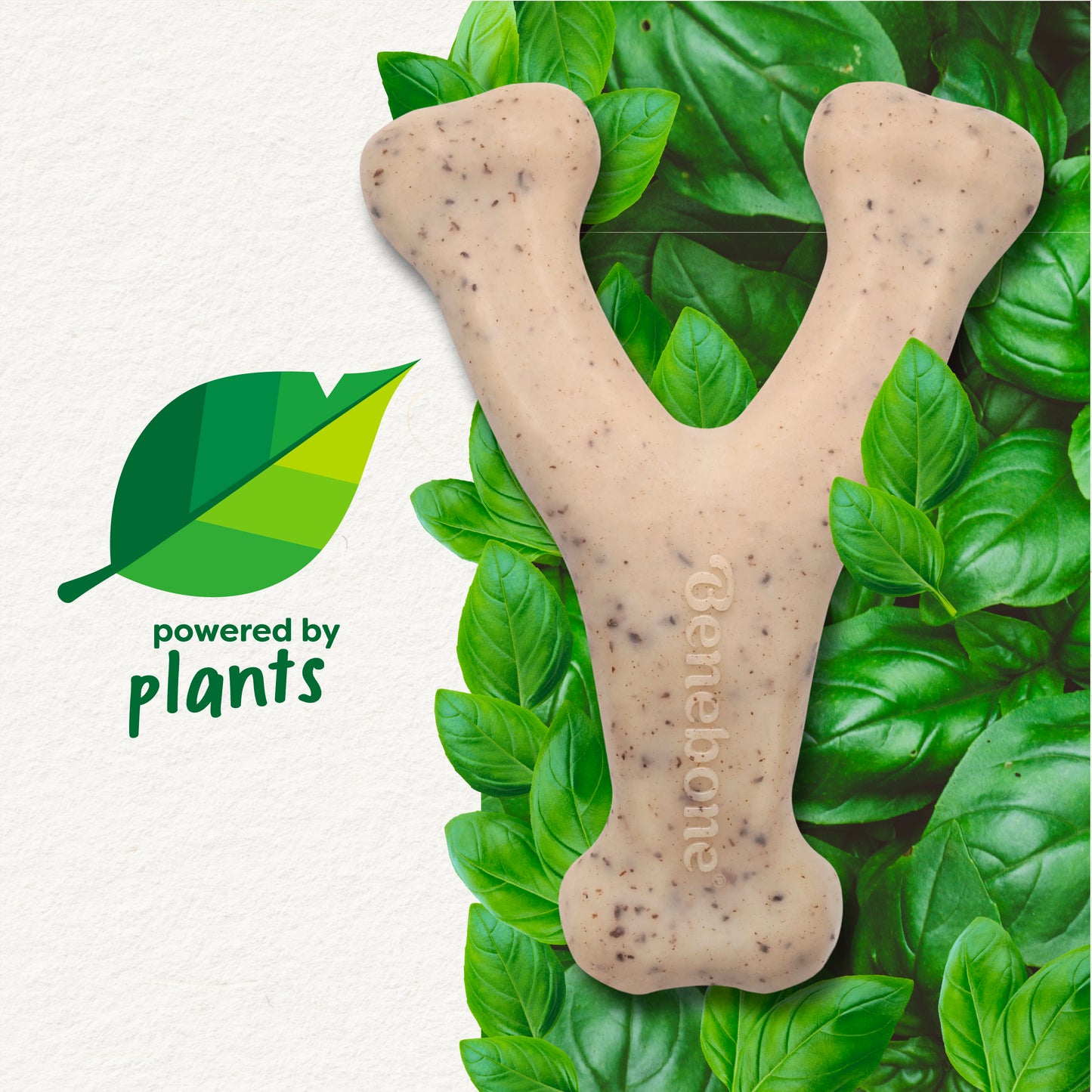 A Benebone Green Wishbone dog chew rests on green leaves, with a "powered by plants" graphic nearby to showcase this plant-based Benebone product and its natural branding.