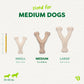 Three Benebone Green Wishbone, plant-based dog chews in small, medium, and large sizes are shown next to a pencil for scale. Text notes these long-lasting toys fit medium dogs weighing 30–60 lbs.