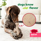 A brown and white dog lies on a rug, sniffing a Green Wishbone by Benebone. Text reads dogs know real flavor, with a magnified view of the toy and a label, bacon flavor, featuring a pig icon.