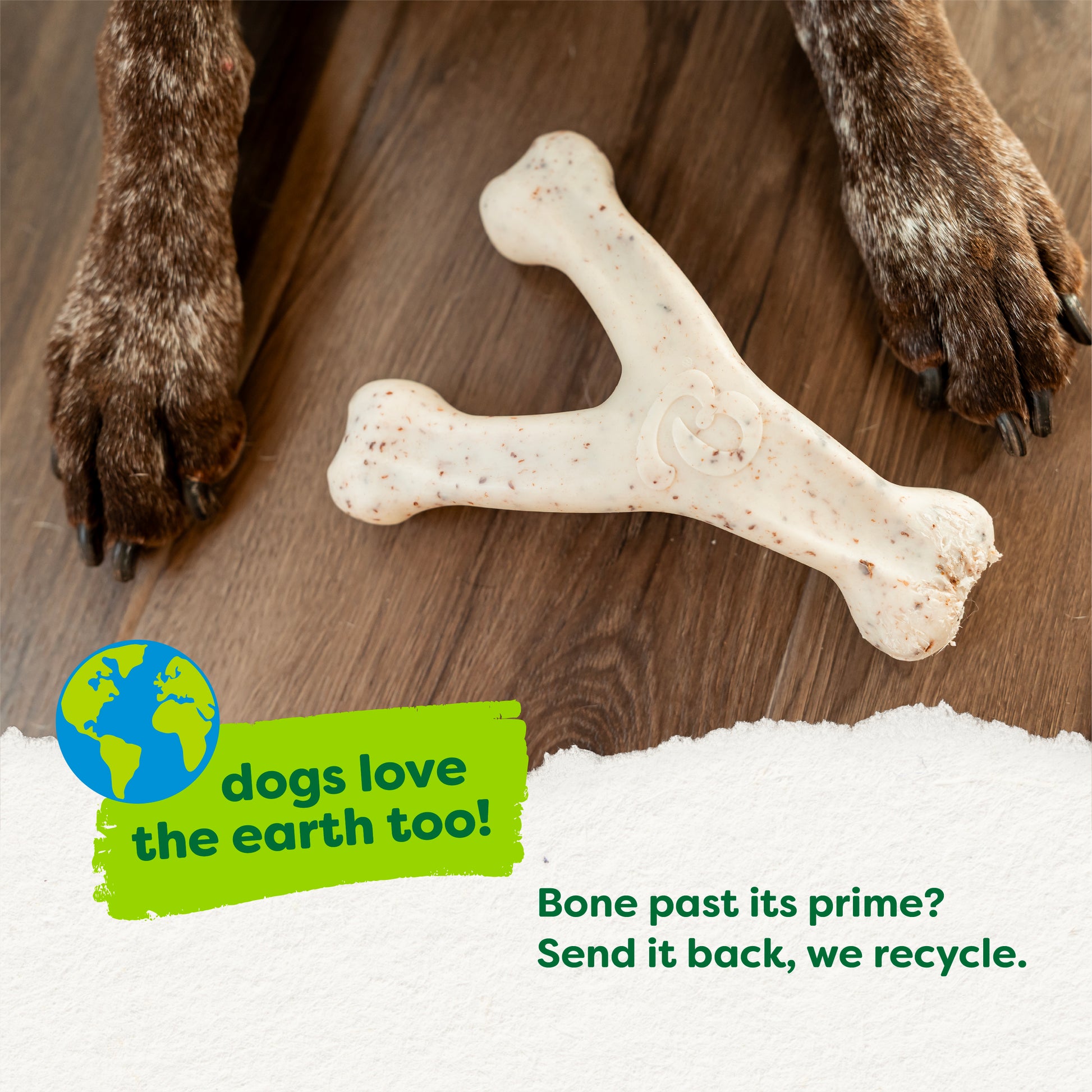A dog's paws rest beside a used Benebone Green Wishbone on a wooden floor. Text: "Dogs love the earth, too! Green Wishbone worn out? Send it back to Benebone—we recycle." An earth icon is shown next to the message.