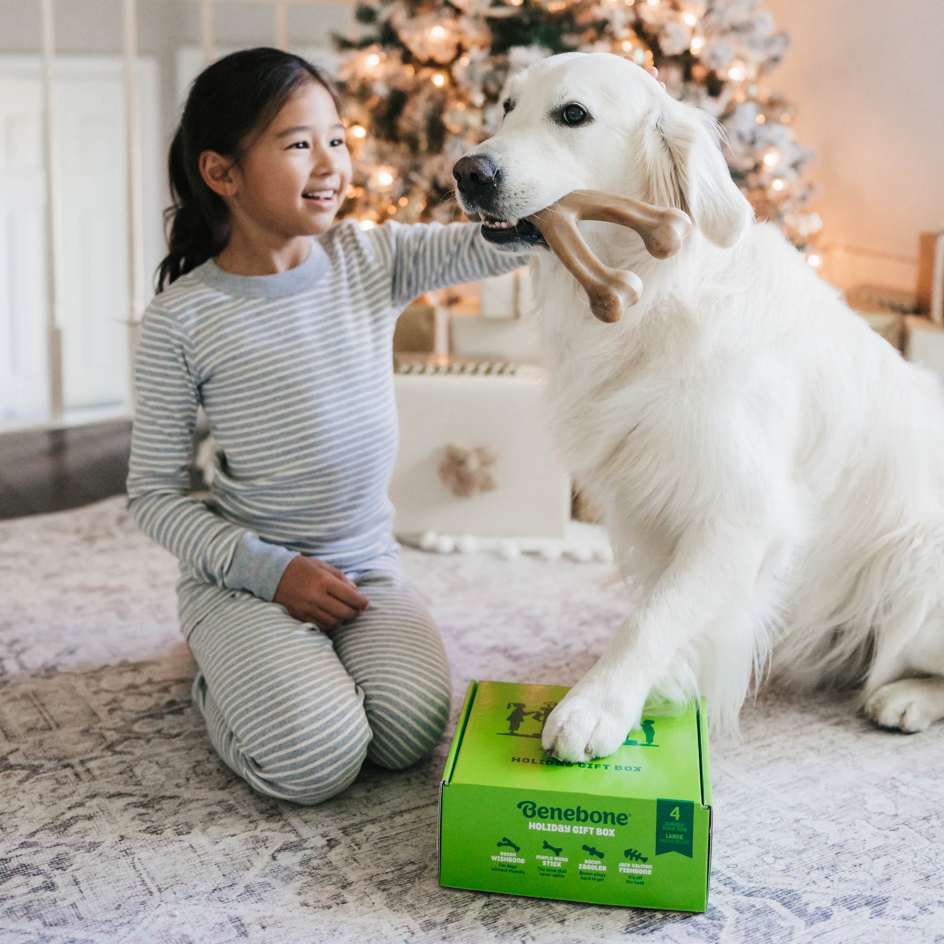 Child with benebone holiday box and dog near christmas tree