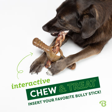 Dog Toys Best Chew Treats For Dogs Pawplexer1